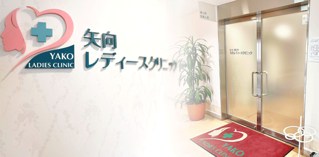 mv2-1024x506.png